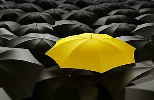 yellow umbrella